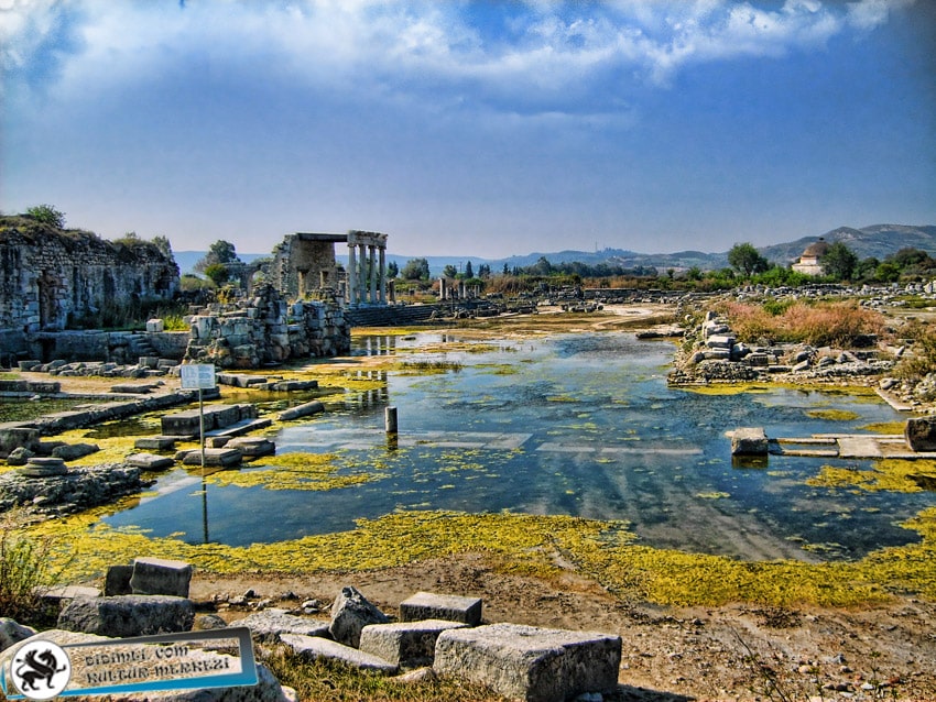 Didim Miletos History pictures From Ephesus Taxi
